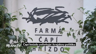 Čapí hnízdo ovlivňuje i krajskou politiku