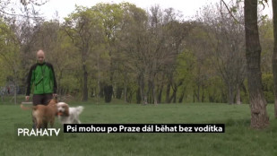 Psi mohou po Praze dál běhat bez vodítka
