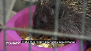 Praha chce rozšířit jinonickou zvířecí stanici