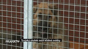Trojský útulek zažil klidné svátky
