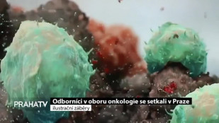 Odborníci v oboru onkologie se setkali v Praze