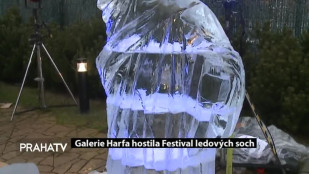 Galerie Harfa hostila Festival ledových soch