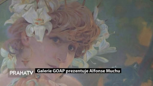 Galerie GOAP prezentuje Alfonse Muchu