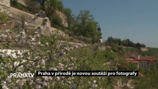 Praha v přírodě je novou soutěží pro fotografy