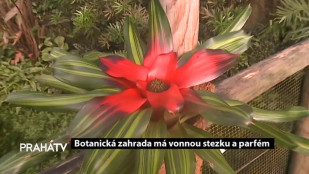 Botanická zahrada má vonnou stezku a parfém