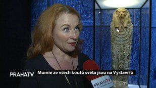 Mumie ze všech koutů světa jsou na Výstavišti
