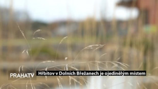 Hřbitov v Dolních Břežanech je ojedinělým místem