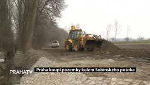 Praha koupí pozemky kolem Sobínského potoka