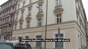 Nájemní bydlení v Praze je čím dál dražší
