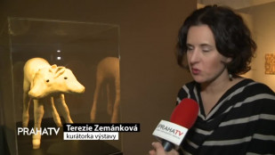 Výstava v DOXU se věnuje předurčení člověka 