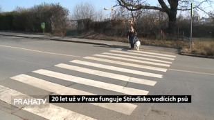 20 let už v Praze funguje Středisko vodících psů