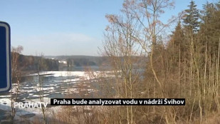 Praha bude analyzovat vodu v nádrži Švihov