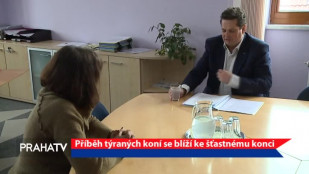 Příběh týraných koní se blíží ke šťastnému konci