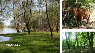 Na soutoku Vltavy a Berounky vznikne příměstský park