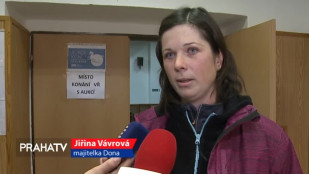 Krizový fond pomůže týraným zvířatům