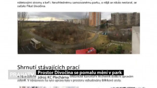Prostor Divočina se pomalu mění v park