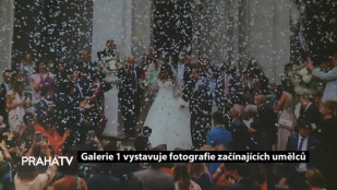 Galerie 1 vystavuje fotografie začínajících umělců