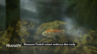 Muzeum Podolí oslaví světový den vody