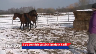 I po trnitých cestách lze dojít k cíli