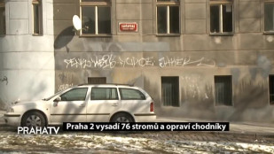 Praha 2 vysadí 76 stromů a opraví chodníky 