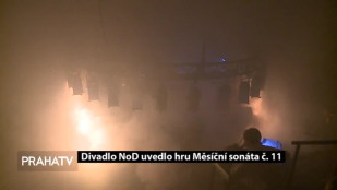 Divadlo NoD uvedlo hru Měsíční sonáta č. 11