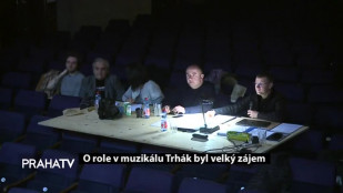 O role v muzikálu Trhák byl velký zájem