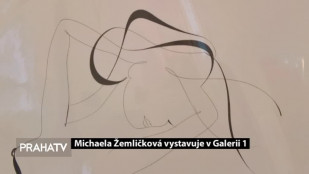 Michaela Žemličková vystavuje v Galerii 1