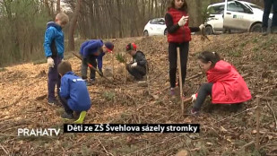 Děti ze ZŠ Švehlova sázely stromky