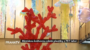 Městskou knihovnu zdobí plastiky z PET lahví 