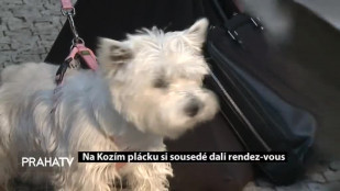 Na Kozím plácku si sousedé dali rendez vous