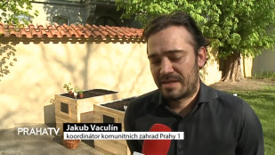 Praha 1 už má čtyři komunitní zahrady