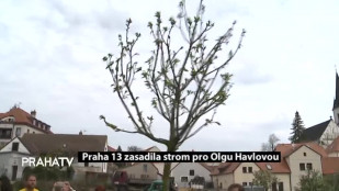 Praha 13 zasadila strom pro Olgu Havlovou