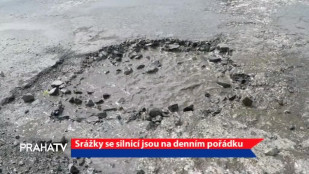 Srážky se silnicí jsou na denním pořádku