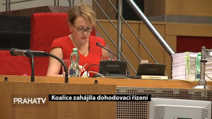 Koalice zahájila dohodovací řízení 