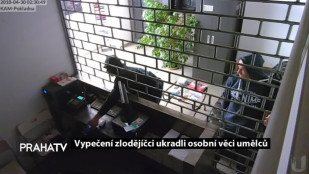 Vypečení zlodějíčci ukradli osobní věci umělců