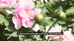 V Botanické zahradě rozkvetly letní expozice
