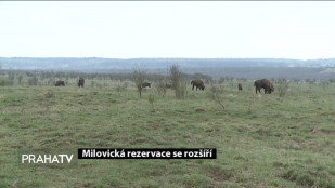 Milovická rezervace se rozšíří
