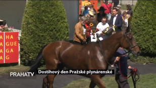 Dostihový den Pražské plynárenské