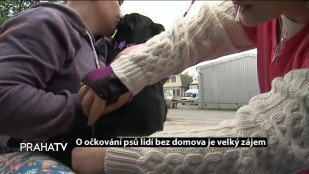 O očkování psů lidí bez domova je velký zájem