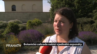 Botanická zahrada nabízí ojedinělé exponáty