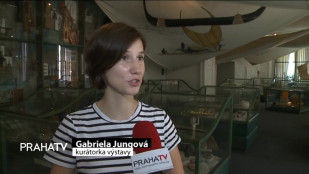 Austrálie a Oceánie je chloubou Náprstkova muzea