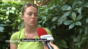 Trénink paměti pomáhá i lidem po těžkých úrazech