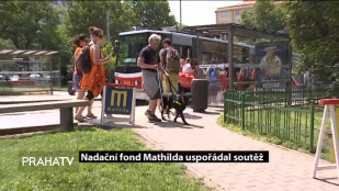 Nadační fond Mathilda uspořádal soutěž 