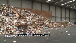Má smysl třídit odpad v Praze?