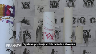 Výstava popisuje vztah zvířete a člověka