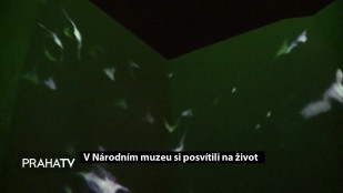 V Národním muzeu si posvítili na život