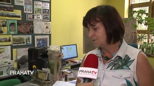 Beroun se dočká nové zeleně