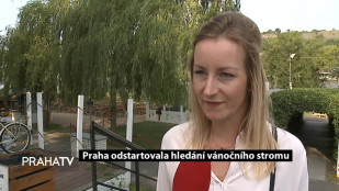 Praha odstartovala hledání vánočního stromu
