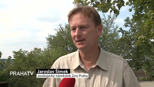 Zoo v pražské Troji pomáhá zvířatům i přírodě