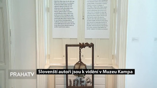 Slovenští autoři jsou k vidění v Museu Kampa